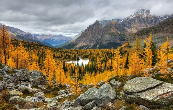 British Columbia, Yoho National Park, Golden Glow