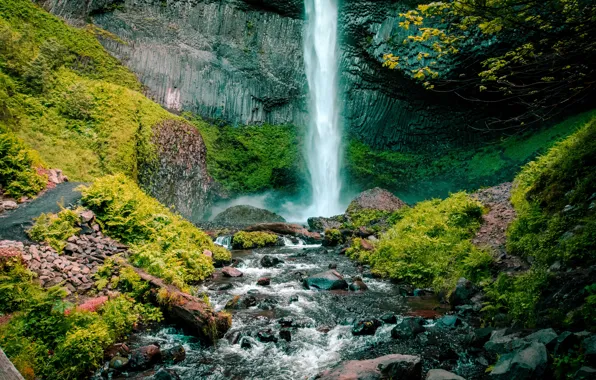 Rock, stones, foliage, waterfall, beauty, rock, nature, rocks