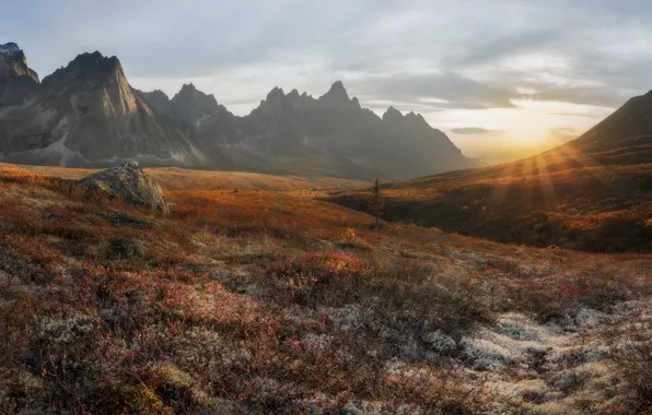 Wallpaper autumn the sun rays landscape mountains nature vegetation  valley Canada tundra Yukon images for desktop section пейзажи  download