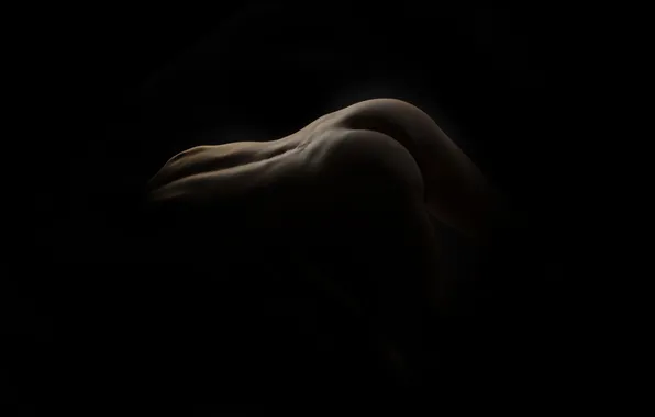 Ass, black background, part of the body, Malyshev Alexey, Body Lines