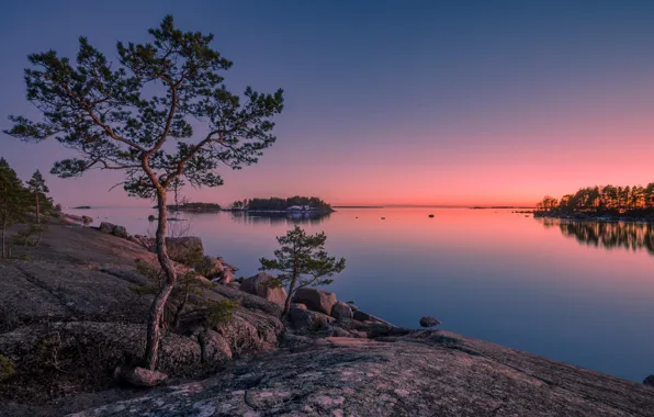 The sky, trees, nature, lake, stones, rocks, glow