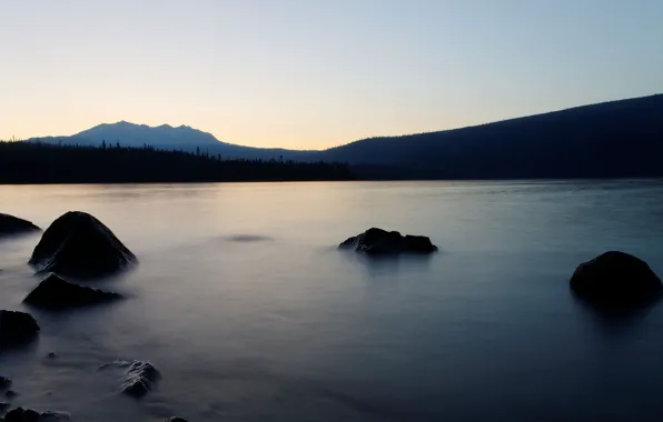 Picture forest, lake, stones