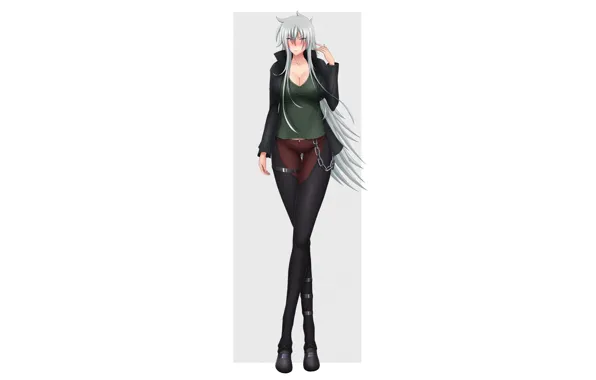 Picture High School Dxd, vali lucifer, long pants, erotic, handsome, breasts, long hair, anime
