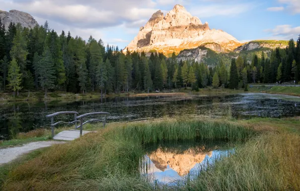 Forest, grass, mountains, lake, reflection, rocks, shore, ate