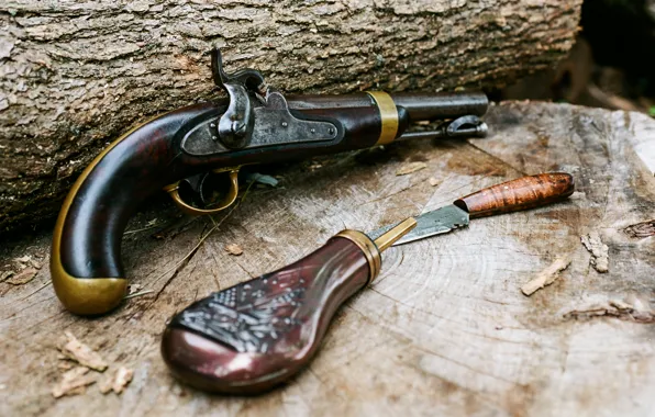 Picture retro, gun, weapons, tree, knife, vintage