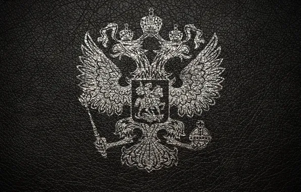 Picture grey, leather, coat of arms, Russia