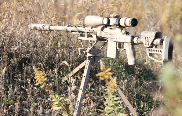 Grass, sight, rifle, muffler, sniper