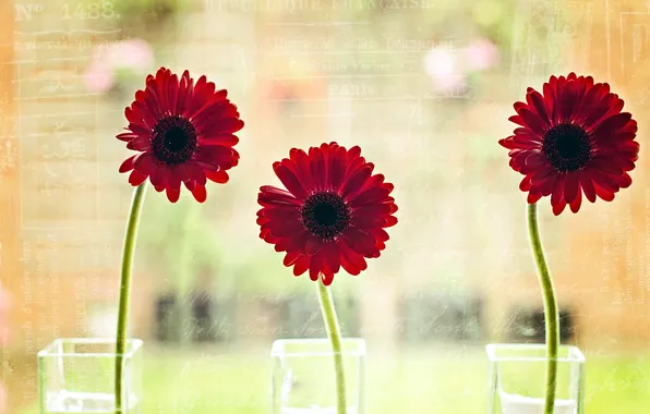 Picture flowers, style, background