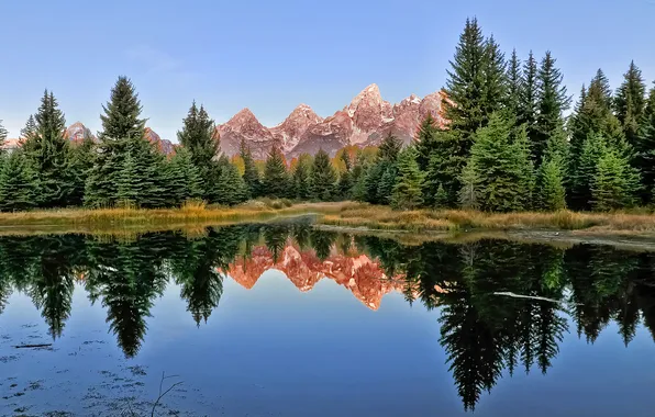 Forest, mountains, lake, reflection, ate