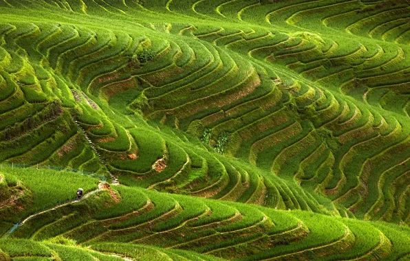Picture hills, Asia, national geographic