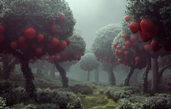 Trees, berries, fantasy, garden, strawberry, fruit, path, huge