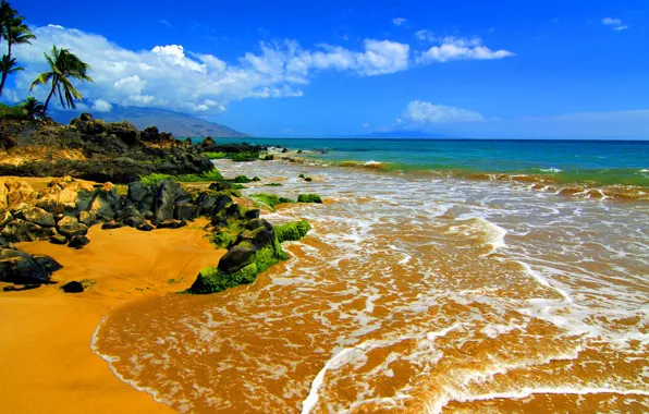 Beach, stones, palm trees, the ocean, Hawaii, Maui, Big Beach