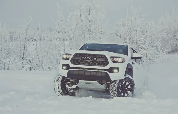 Winter, snow, white, Toyota, pickup, snow, pickup, TRD