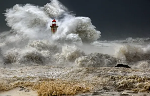 Picture wave, storm, the ocean, element, lighthouse, storm, photo, photographer