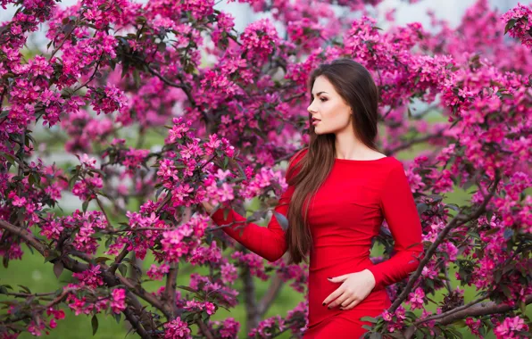 Picture girl, flowers, beauty, spring, garden, woman, young, beautiful