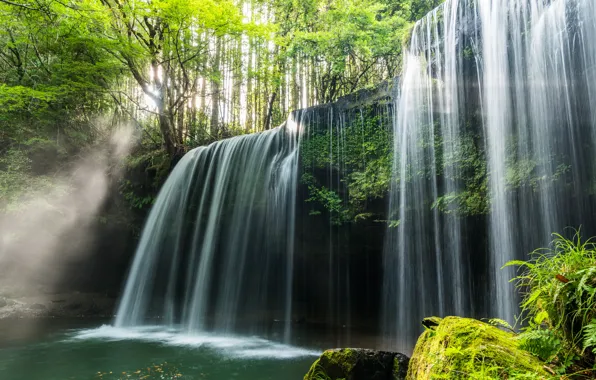 Wallpaper waterfall, trees, forest
