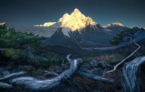 The sky, clouds, trees, mountains, rocks, tops, driftwood