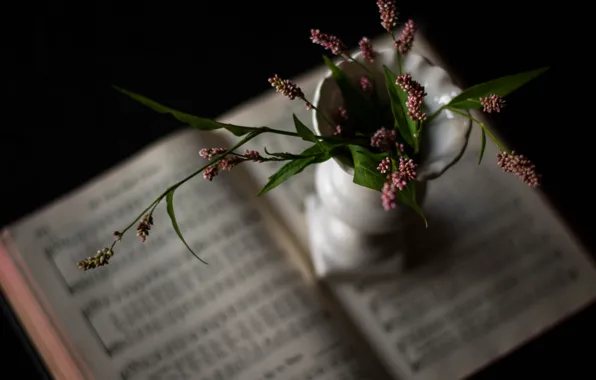 Picture notes, Hymnal, Bucuti, the book of Psalms