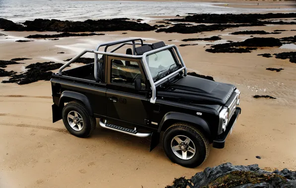 Sand, 2008, Land Rover, Defender, SVX, 60th Anniversary Edition