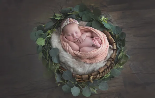 Sleep, girl, basket, baby, wreath