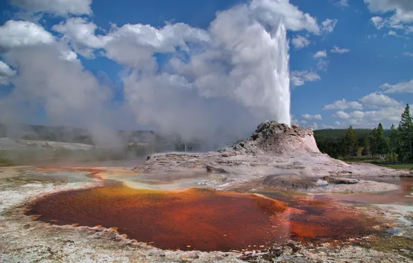 Picture the sky, trees, couples, geyser