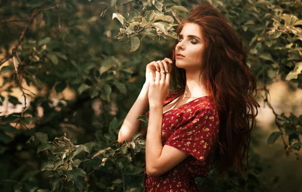 Picture girl, branches, pose, tree, mood, hair, hands, red