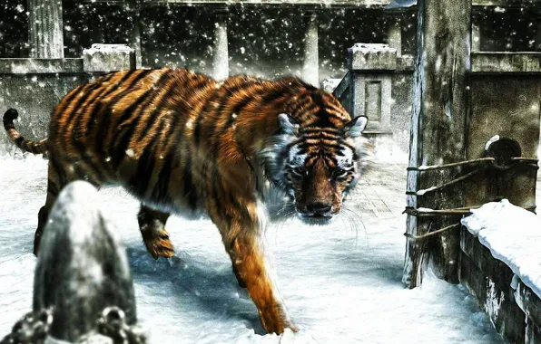 Winter, snow, tiger, rendering, is