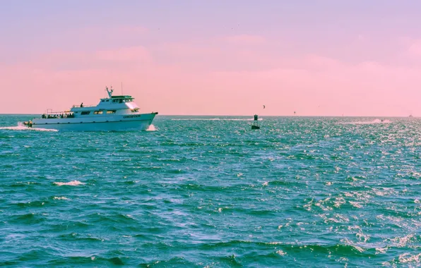 The ocean, morning, boat, passengers, the ship, swimming