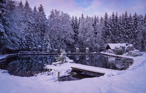 Winter, forest, snow, lake, house, pond