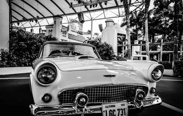 Retro, black and white, car, classic, monochrome