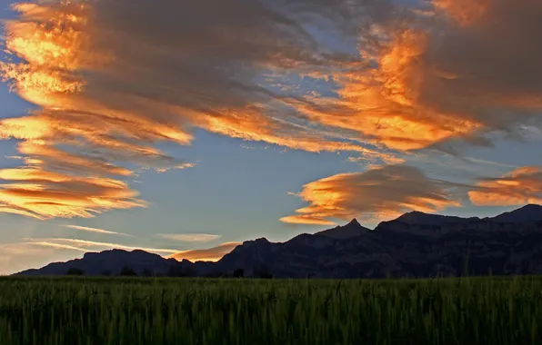 The sky, landscape, sunset
