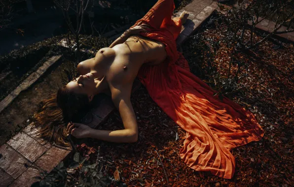 CHEST, LEAVES, BRUNETTE, FABRIC