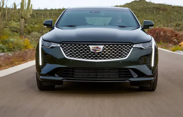 Picture Cadillac, sedan, front view, four-door, 2020, CT4