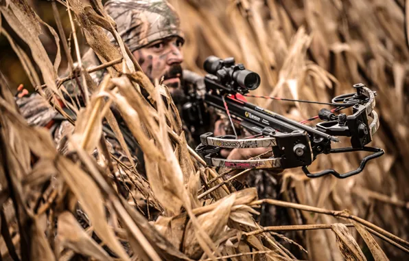 Hunter, vegetation, crossbow, camouflage