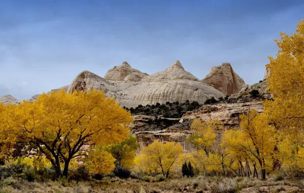 Autumn, rocks, Utah, USA, Capitol Reef, Capitol Reef National Park