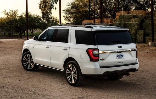 Ford, back, SUV, Expedition, 2020