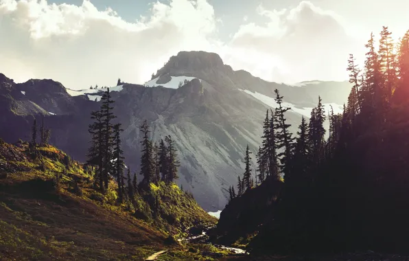 Snow, trees, landscape, mountains