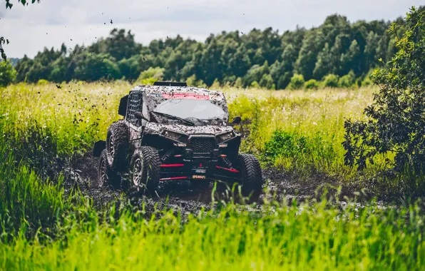 Nature, Grass, Sport, Speed, Race, Dirt, Russia, Rally