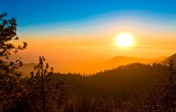 Picture forest, the sky, the sun, sunset, mountains, haze