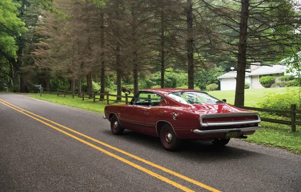 Picture road, auto, trees, road, muscle car, Fastback, Barracuda, Plymouth