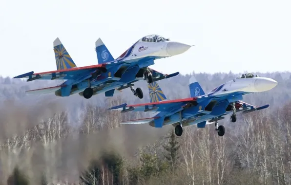 Picture The plane, Forest, Fighter, Day, Russia, Aviation, BBC, Multipurpose