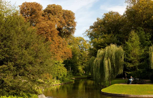 Nature, pond, photo, garden, Denmark, Copenhagen, Botanical