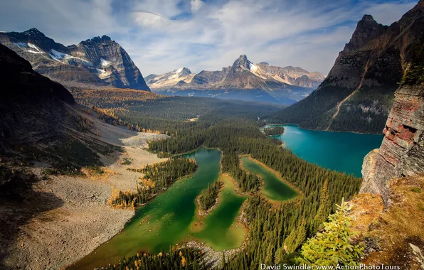 Forest, mountains, lake, rocks
