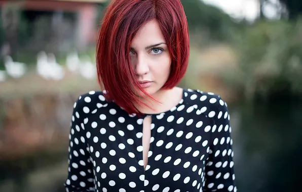 Look, portrait, bokeh, Katerina