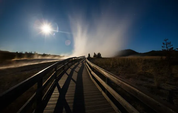Field, light, bridge, morning