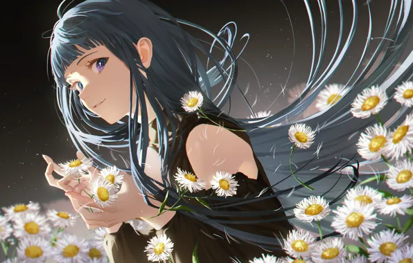 Picture look, girl, chamomile, anime, art, Champi