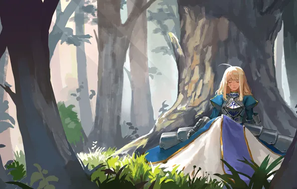 Forest, girl, knight, the saber, Fate / Stay Night