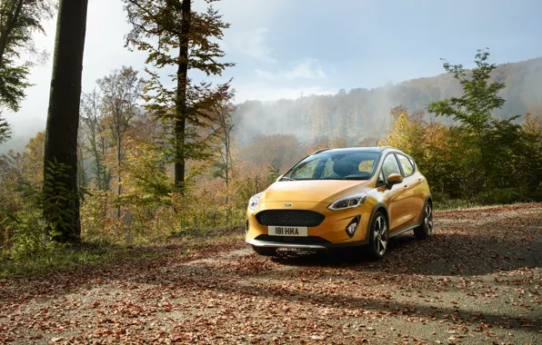 Picture Ford, Yellow, Car, Fiesta, Active, 2017, Worldwide