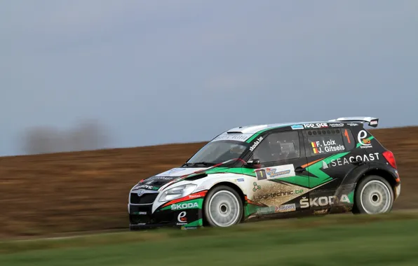 Profile, Rally, Skoda, Fabia, Loix
