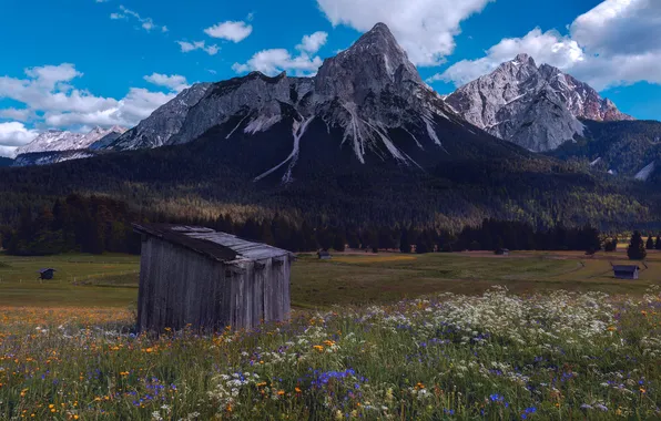 Field, forest, summer, clouds, mountains, blue, tops, the barn